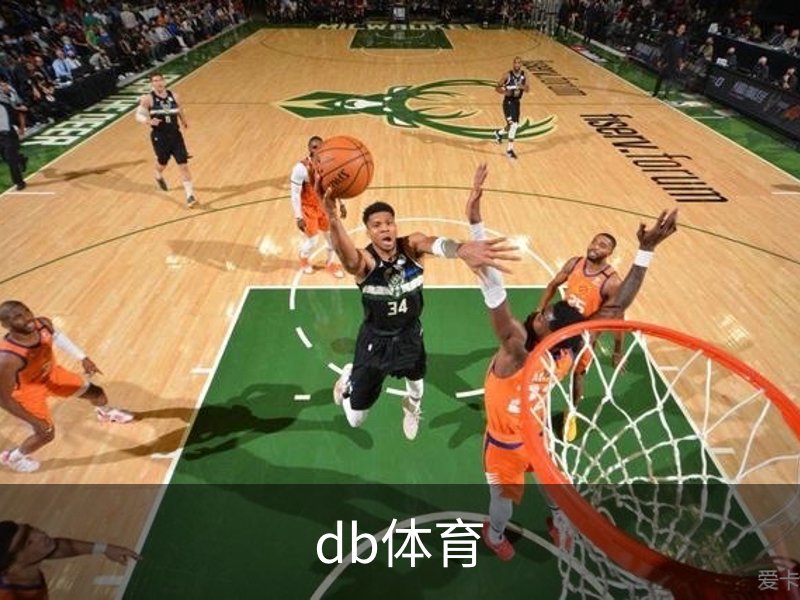 db体育概况